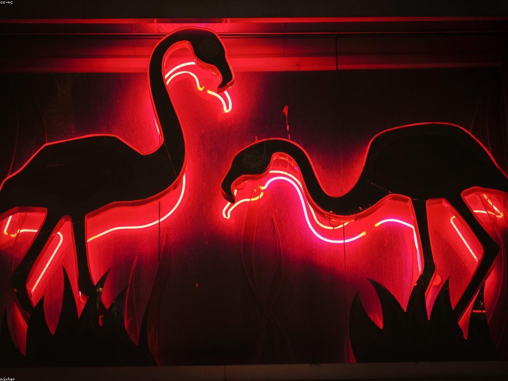 ការវិភាសទីផ្សារកាស៊ីនូ: បច្ចេកវិទ្យា និងការកែលម្អថ្មីៗ